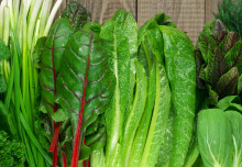 Largest study of its kind shows leafy greens may decrease bowel cancer risk 